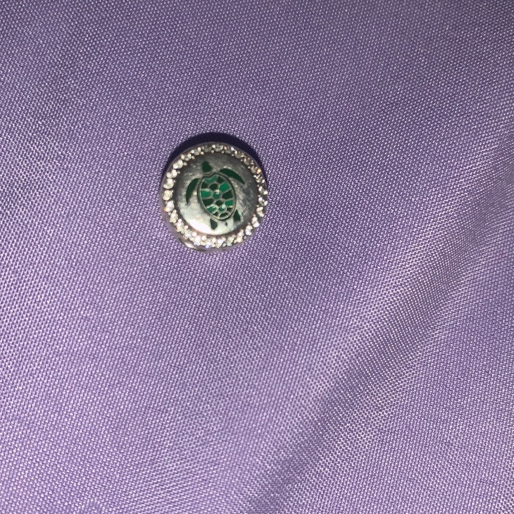 Pandora Savannah, GA charm